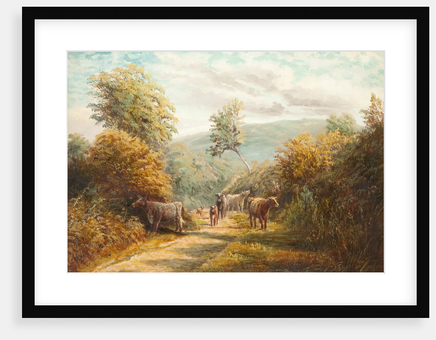 Sulby Glen, Lezayre by Raymond Dearn