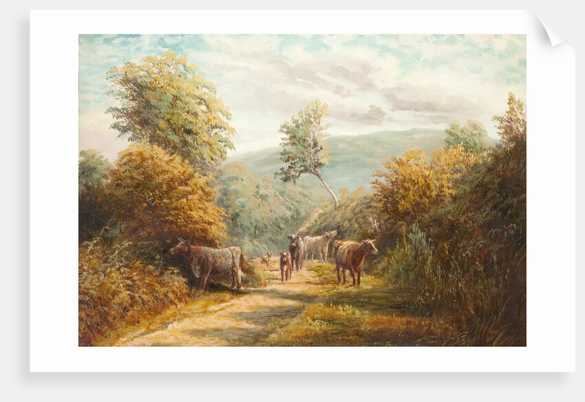 Sulby Glen, Lezayre by Raymond Dearn