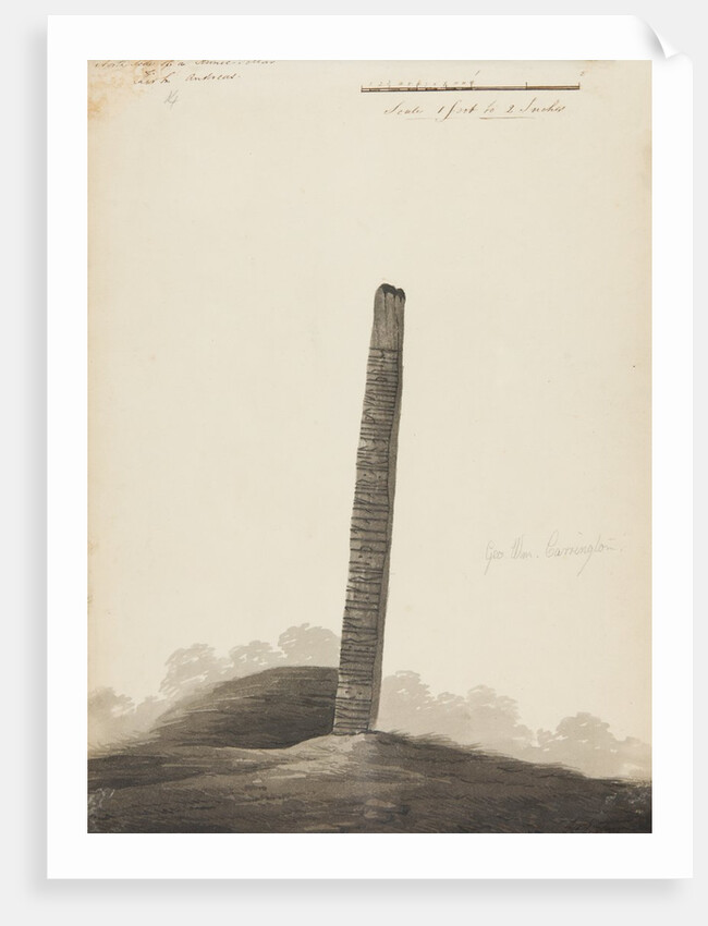 Runic monuments of the Isle of Man by George William Carrington