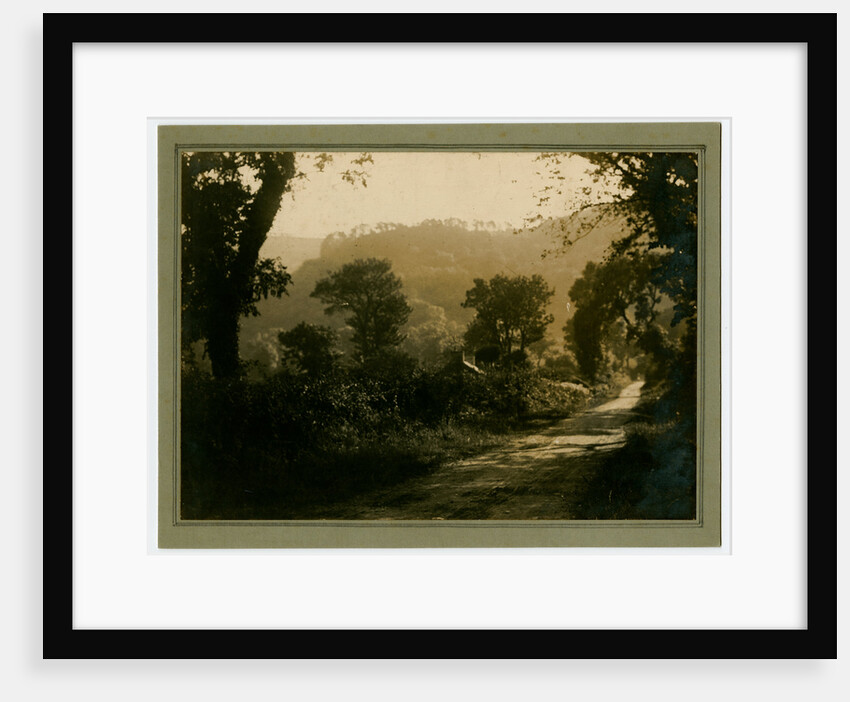 Untitled landscape by George Bellett Cowen