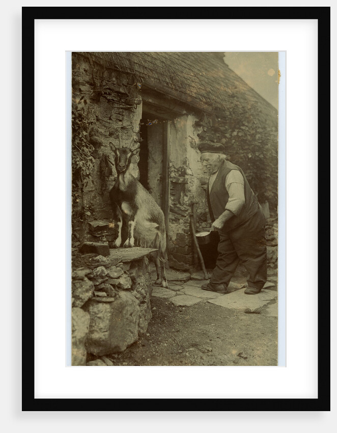 John Kinnish ('Old Pete') outside his cottage - with goat by Thomas Horsfell Midwood