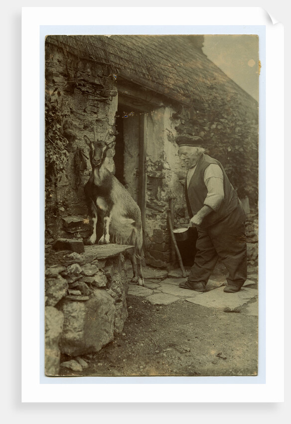 John Kinnish ('Old Pete') outside his cottage - with goat by Thomas Horsfell Midwood