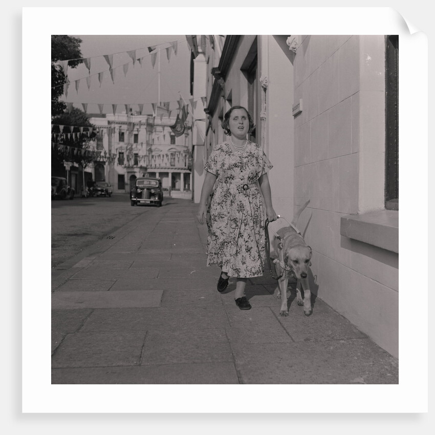 Blind woman and her guide dog by Manx Press Pictures
