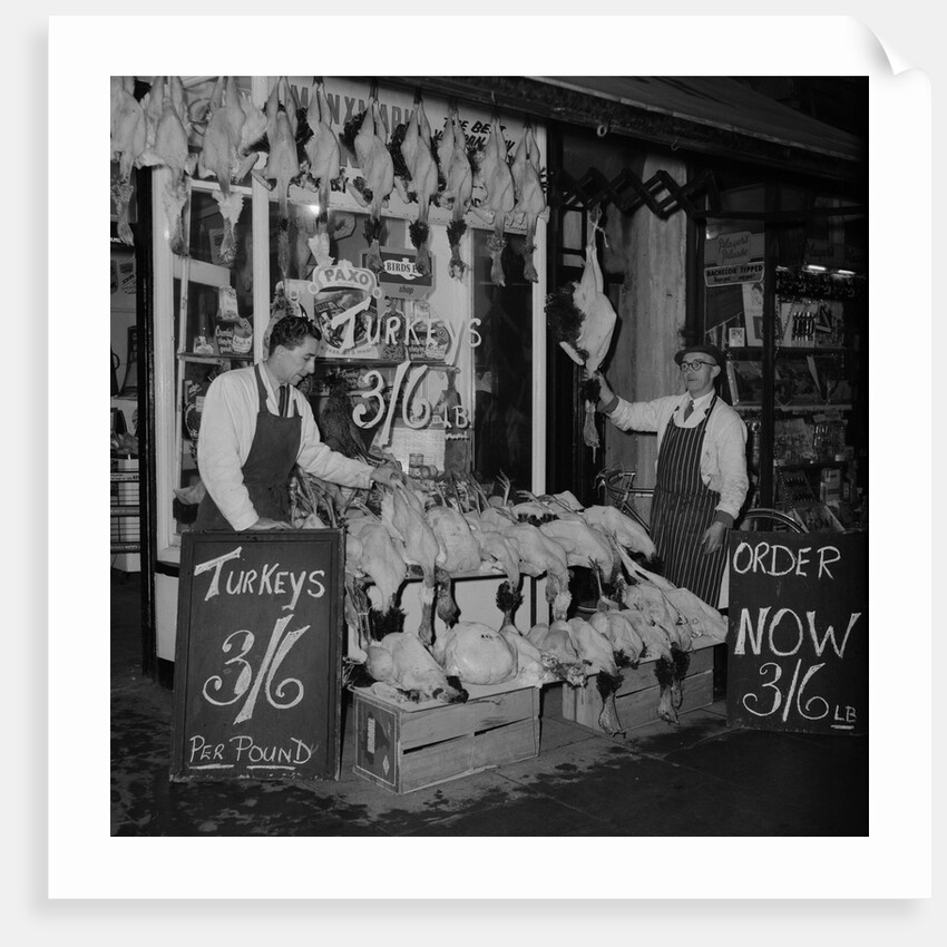 Curtis' Turkeys by Manx Press Pictures