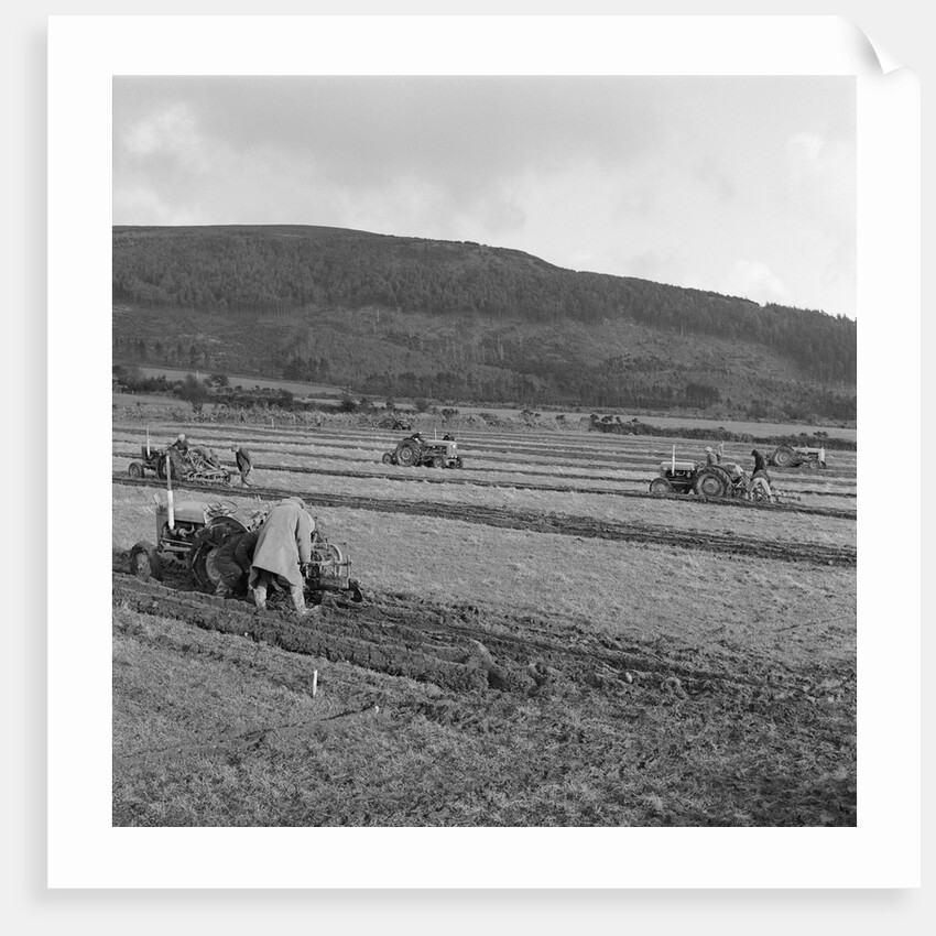 Marown ploughing match by Manx Press Pictures