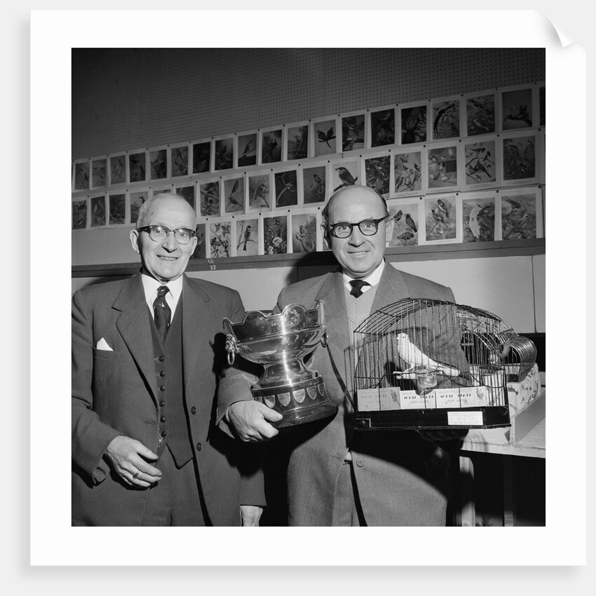 Foreign Bird Society exhibition, Feldmans by Manx Press Pictures