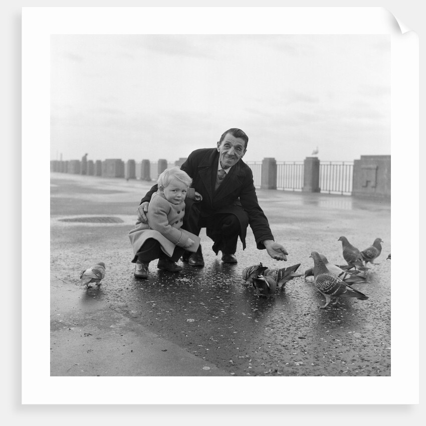 Feeding pigeons on Douglas Promenade by Manx Press Pictures