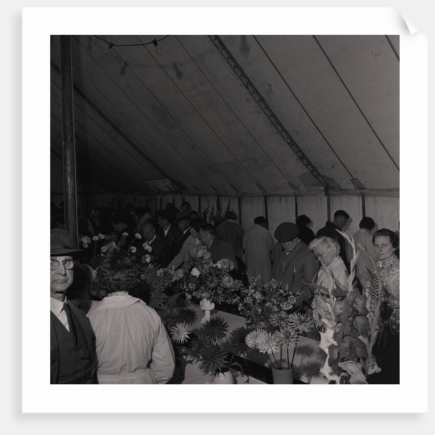 Horticultural Show, Villa Marina by Manx Press Pictures