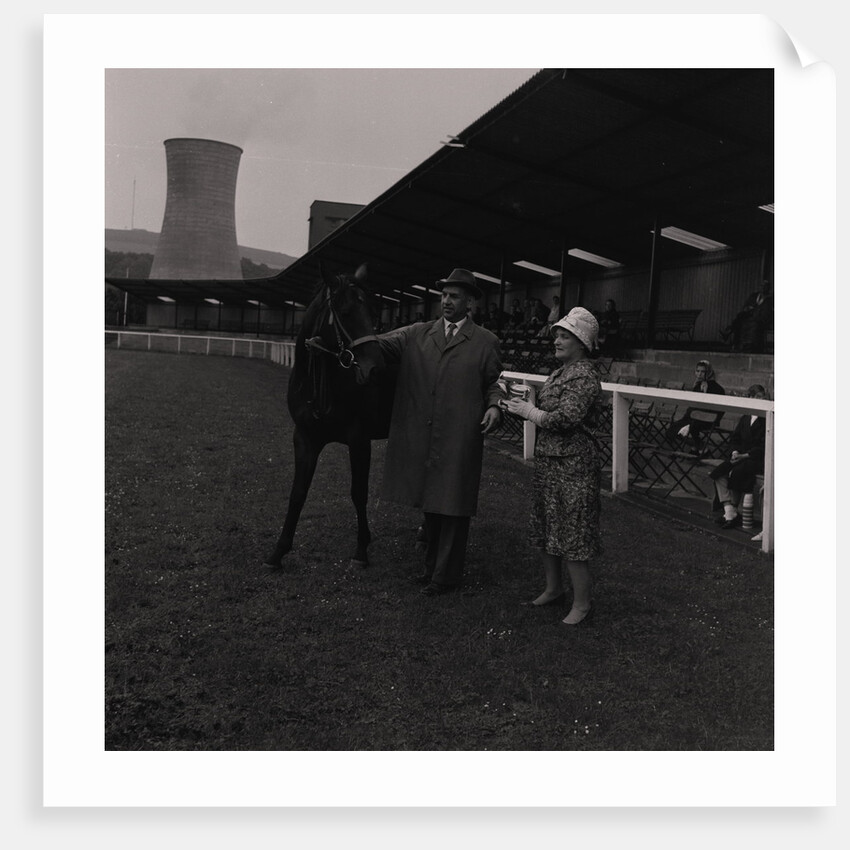Light Horse Society Summer Show at Bowl by Manx Press Pictures