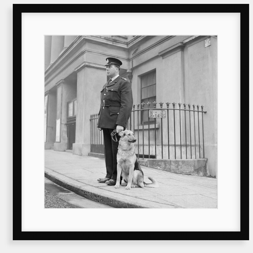 Policeman and Alsatian dog, Isle of Man by Manx Press Pictures
