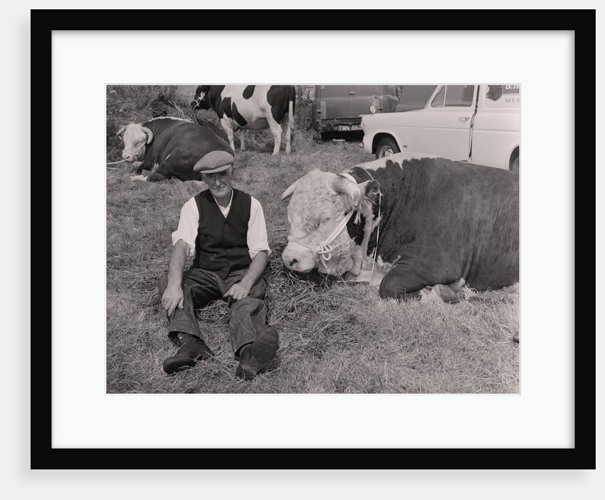 Southern Agricultural Show by Manx Press Pictures