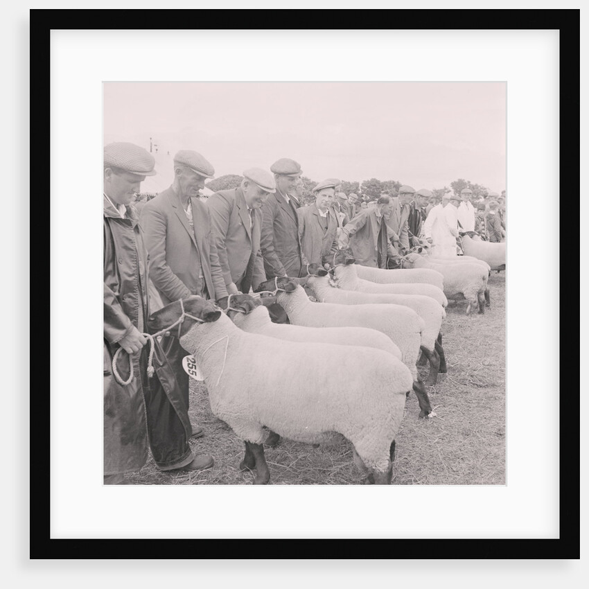 Southern Agricultural Show by Manx Press Pictures