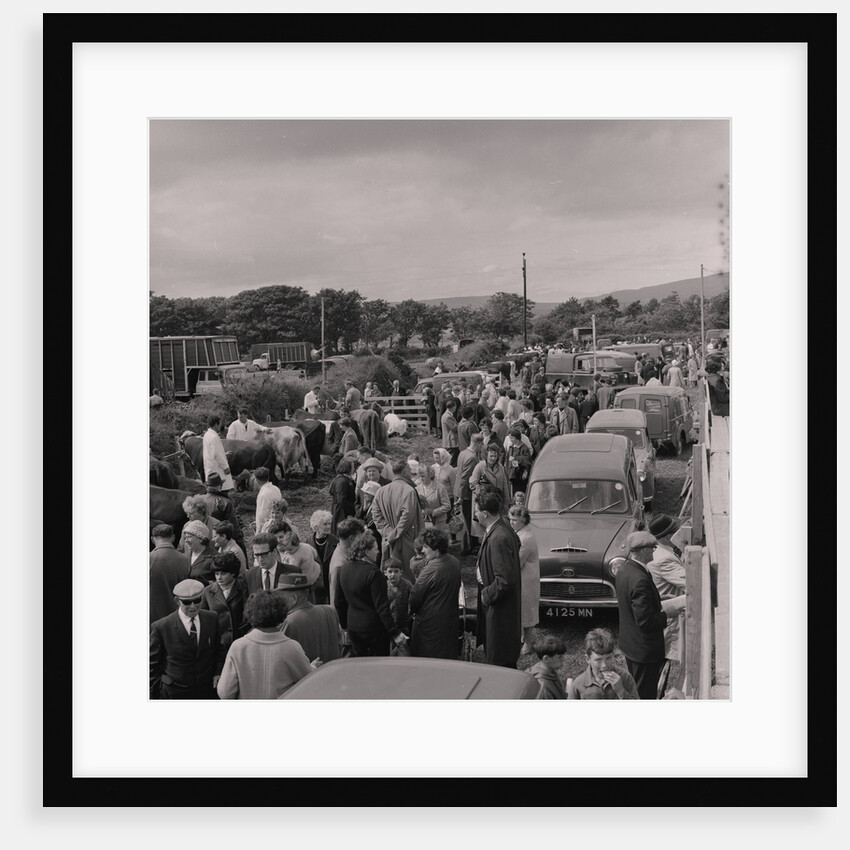 Southern Agricultural Show by Manx Press Pictures