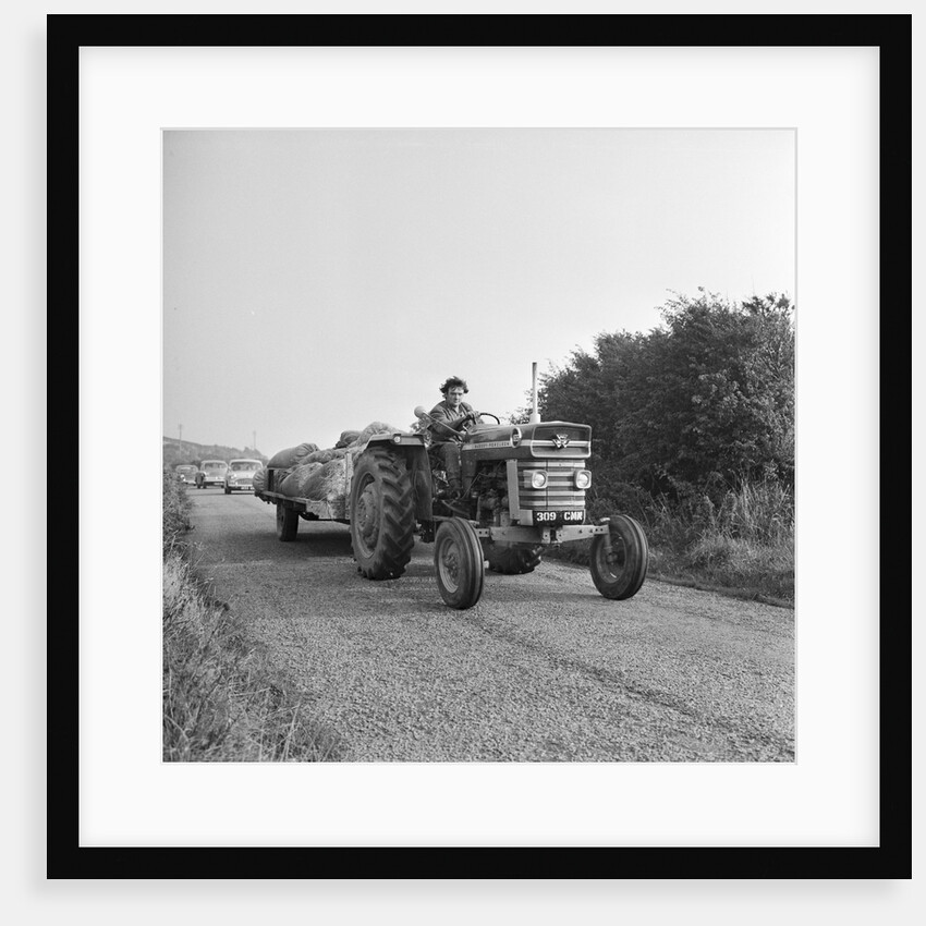 Harvest, Isle of Man by Manx Press Pictures
