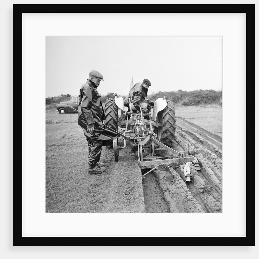 Ploughing match at Bride, Ballanhard by Manx Press Pictures