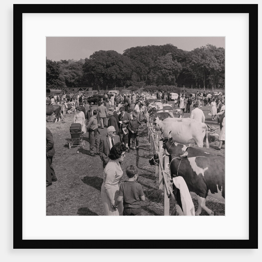 Royal Agricultural Show by Manx Press Pictures