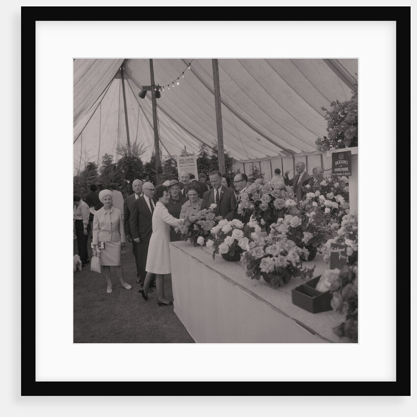 Rose Show, Villa Marina by Manx Press Pictures
