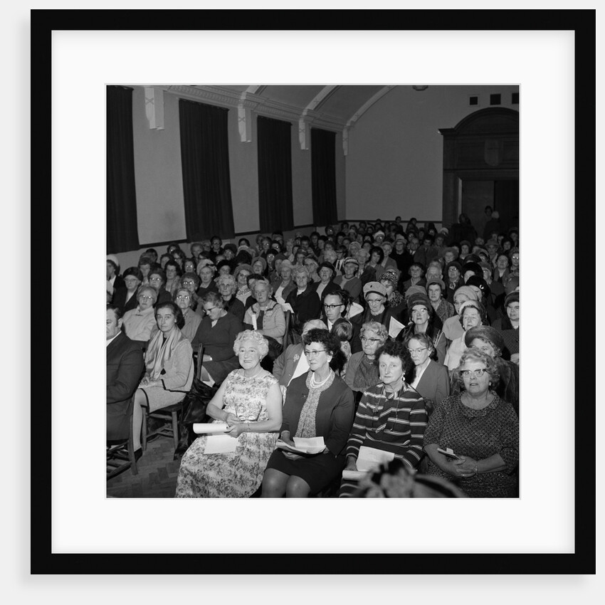 Ballamona League of Friends by Manx Press Pictures