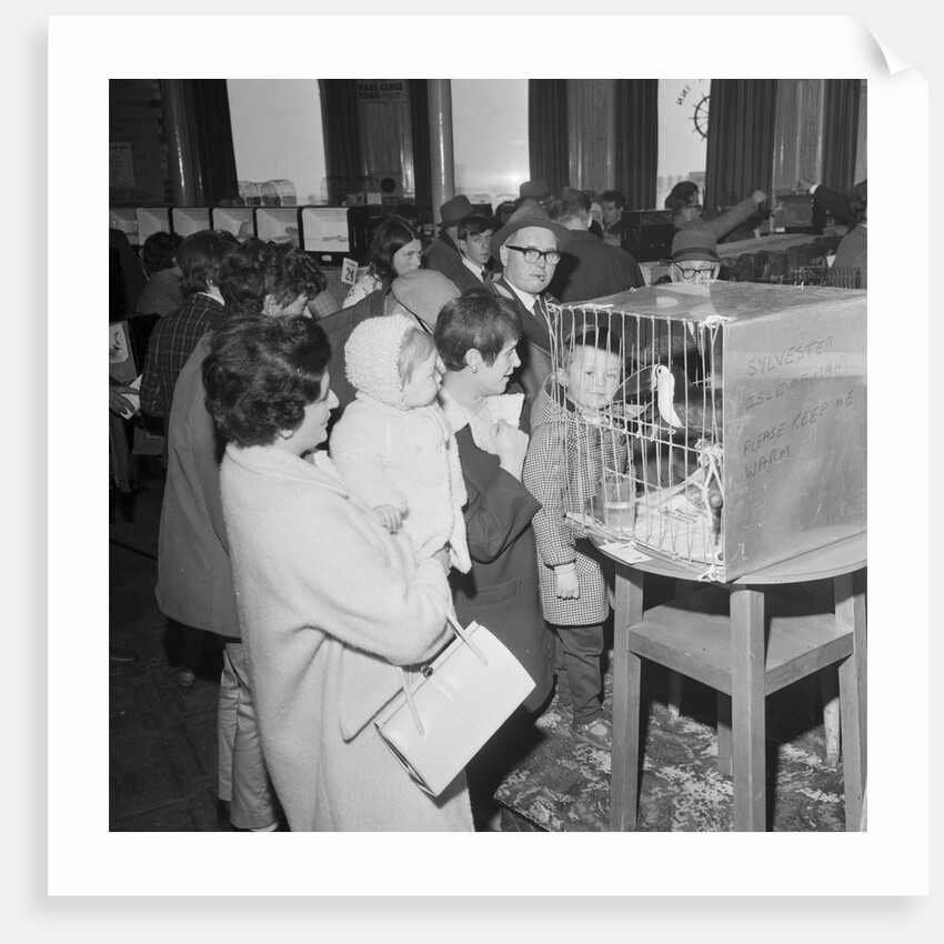 Fur and feather Show, Villiers, Douglas by Manx Press Pictures