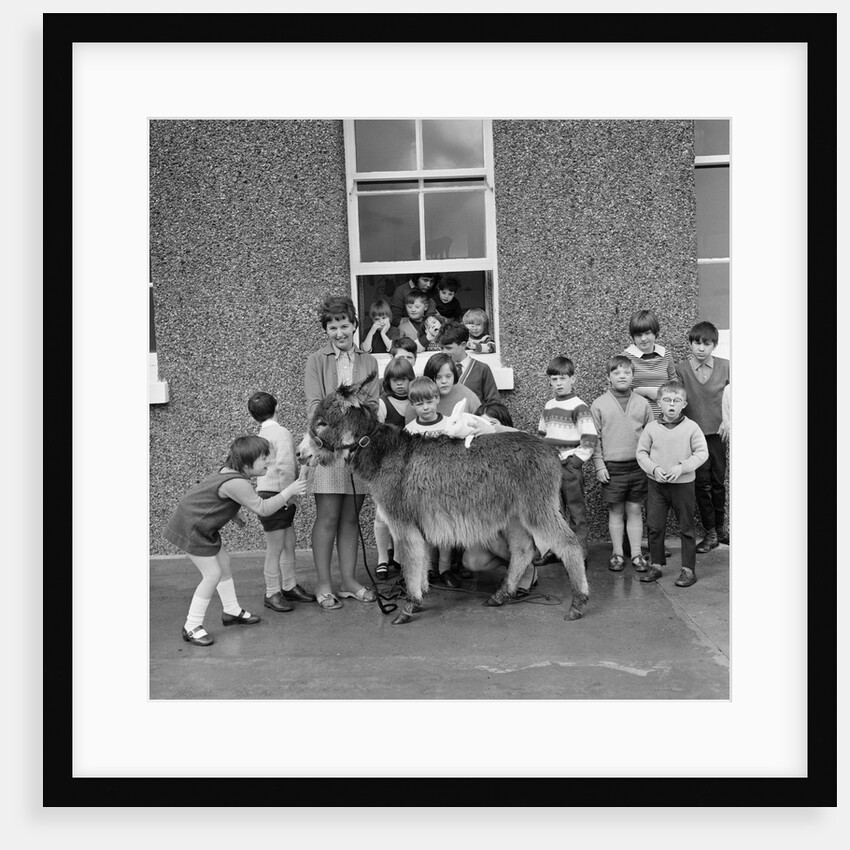Donkey with children, Isle of Man by Manx Press Pictures