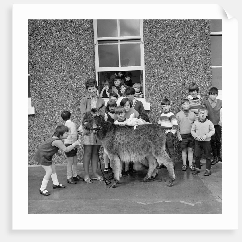 Donkey with children, Isle of Man by Manx Press Pictures