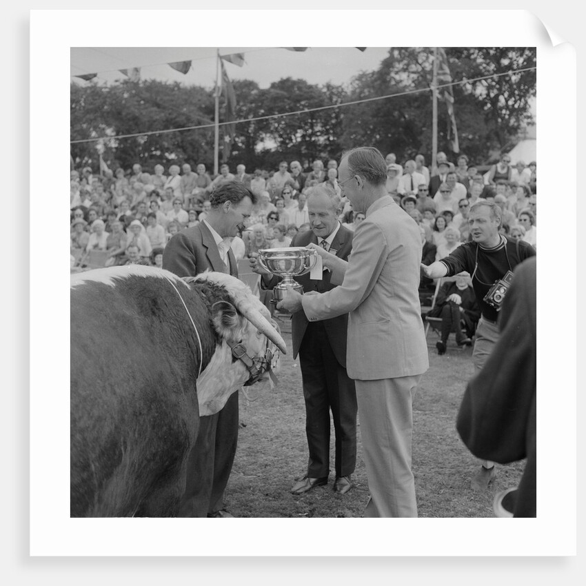 Royal Manx Show by Manx Press Pictures