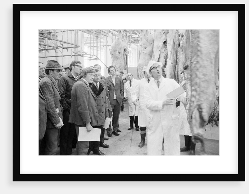 Beef at abattoir, Isle of Man by Manx Press Pictures