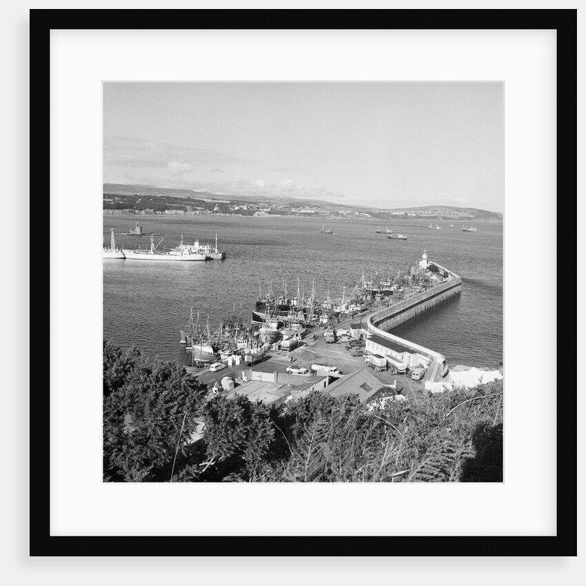 Herring fleet in Douglas Bay by Manx Press Pictures