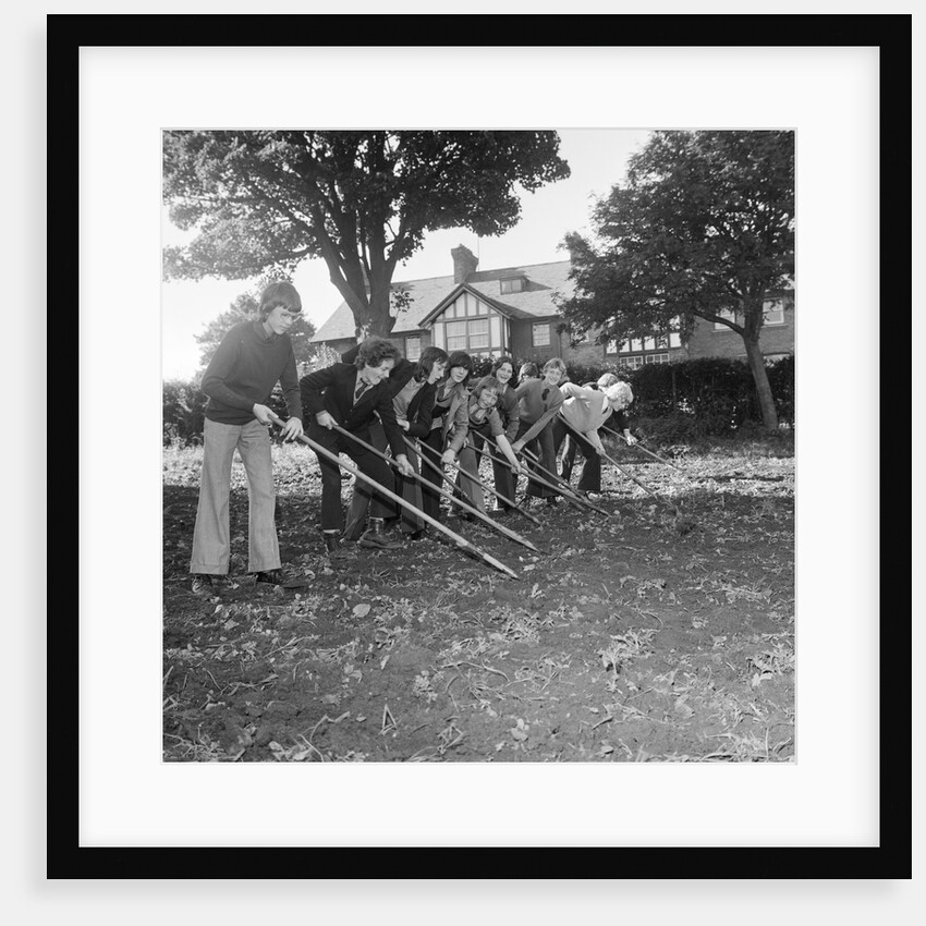 Douglas High School garden nursery by Manx Press Pictures
