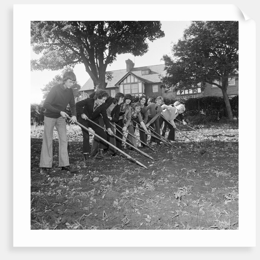 Douglas High School garden nursery by Manx Press Pictures