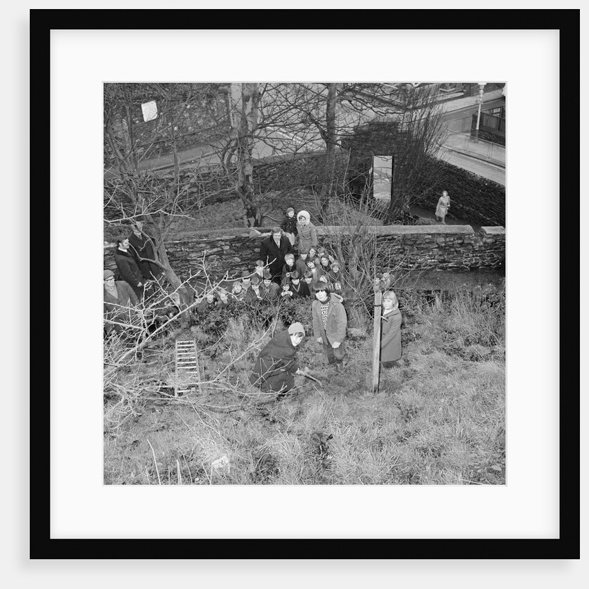 Tree planting, Manx Museum, Douglas by Manx Press Pictures