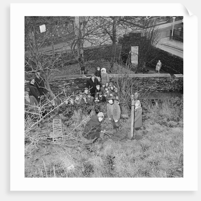 Tree planting, Manx Museum, Douglas by Manx Press Pictures
