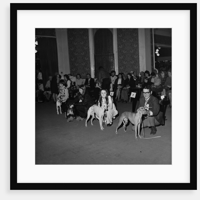 Dog Show, Villiers hotel by Manx Press Pictures