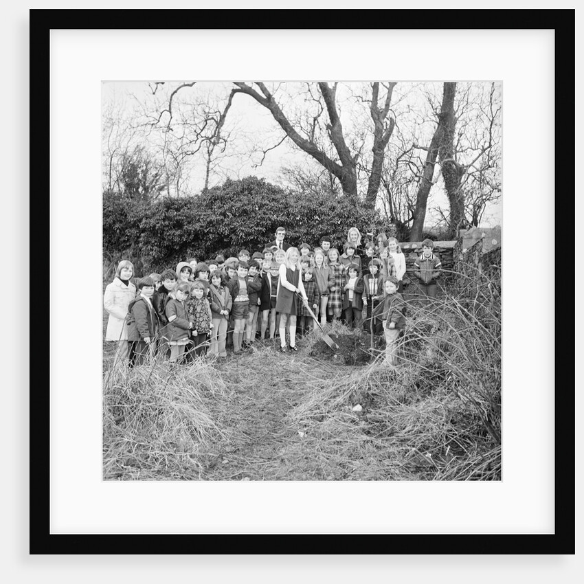 Kewaigue tree planting by Manx Press Pictures