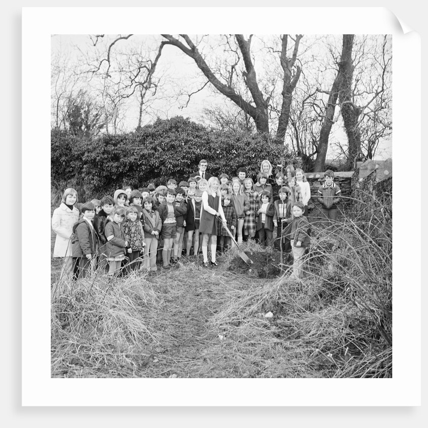 Kewaigue tree planting by Manx Press Pictures
