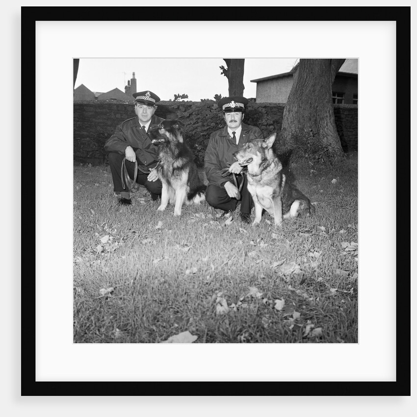 Police dogs at Peel by Manx Press Pictures