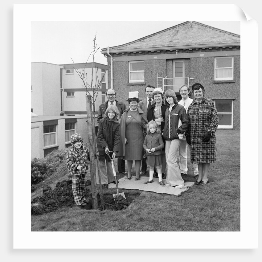 Tree planting, Noble's Hospital, Douglas by Manx Press Pictures