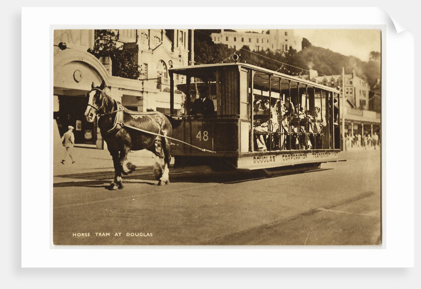 Horse Tram Outside the Palace by Anonymous