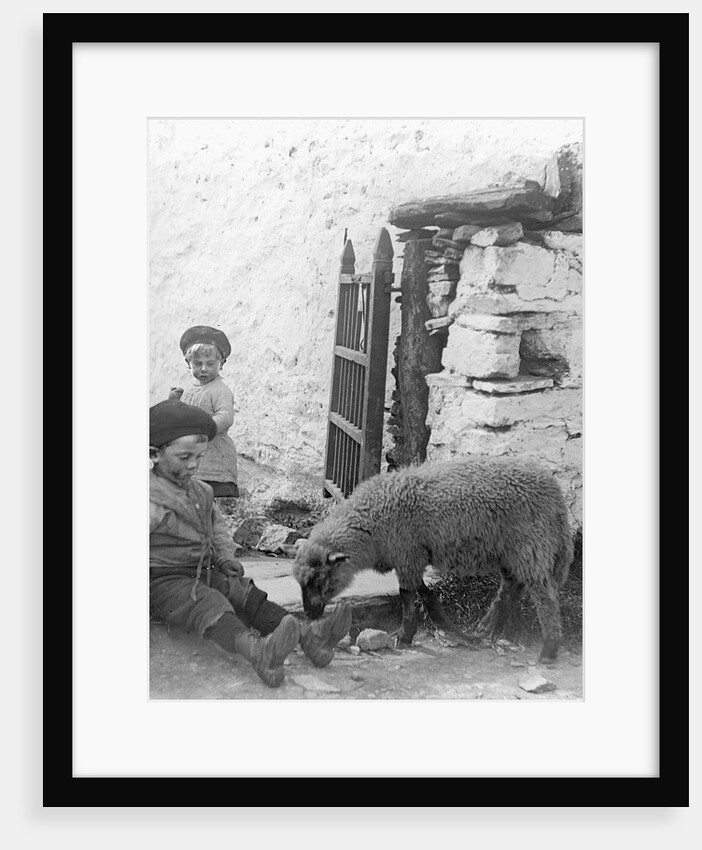 Pet Lamb at Fistard by Archibald Knox