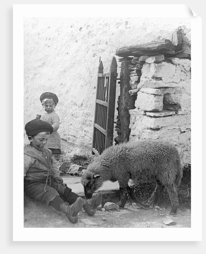 Pet Lamb at Fistard by Archibald Knox