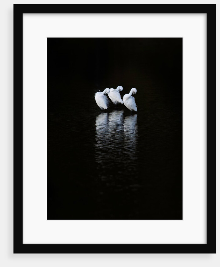 Threegrets by Paul Quellin