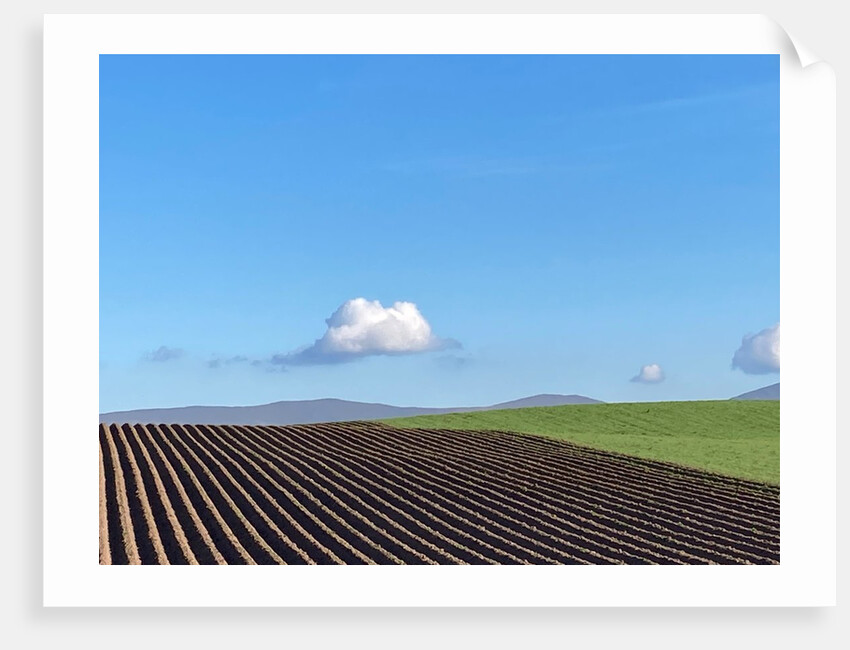 Looking east by Chris Allen