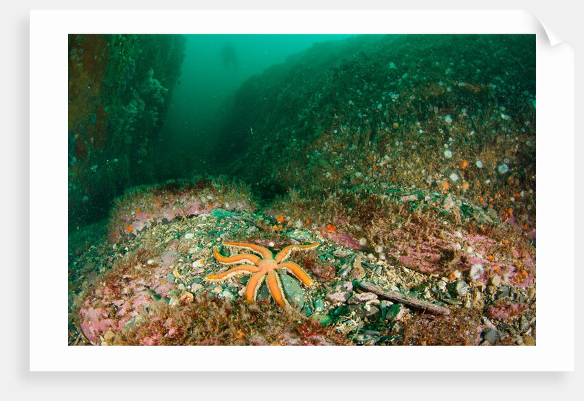 Below the Burroo by Lara Howe