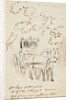 Ink sketch of Horse and Carriage with the note ‘Mr Pears and Mr . Sprightly and Poppet drawn. While--- was gathering elder blown 1797’ by Mary Anne Goodman