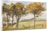 Manx Landscape with trees by Georgina Gore Currie