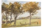 Manx Landscape with trees by Georgina Gore Currie