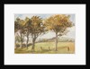 Manx Landscape with trees by Georgina Gore Currie