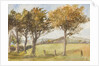 Manx Landscape with trees by Georgina Gore Currie