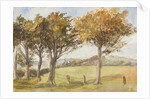 Manx Landscape with trees by Georgina Gore Currie