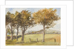 Manx Landscape with trees by Georgina Gore Currie